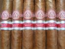 Montecristo Edmundo Dantes photo